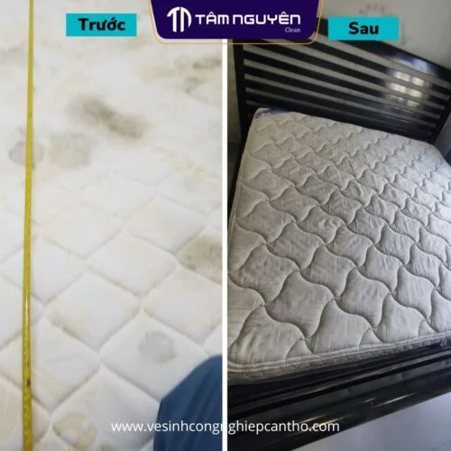 Giặt Ghế Văn Phòng Tại Cần Thơ | Bảng Giá Rẻ Nhất 2023 84 dich-vu-giat-nem-can-tho
