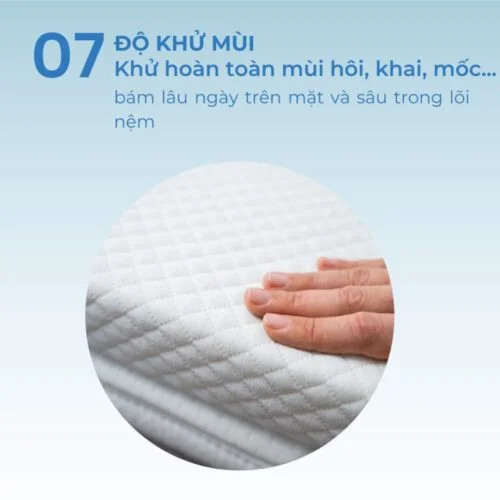 Giặt Ghế Văn Phòng Tại Cần Thơ | Bảng Giá Rẻ Nhất 2023 70 dich-vu-giat-nem-tai-nha-can-tho