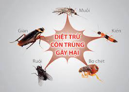 dich-vutay-khuan-vi-thanh-top-1
