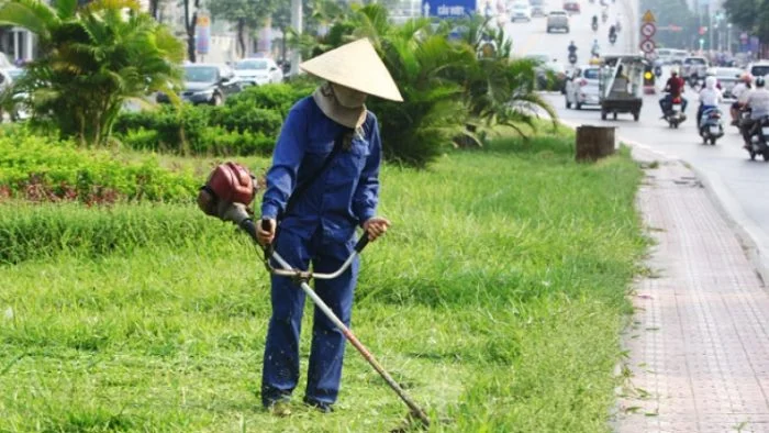 Dịch vụ chăm sóc cây cảnh Cần Thơ 14 anh ngoai OBQW