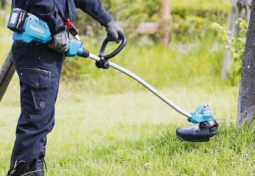 Dịch vụ chăm sóc cây cảnh Cần Thơ 9 dich-vu-cat-co-can-tho