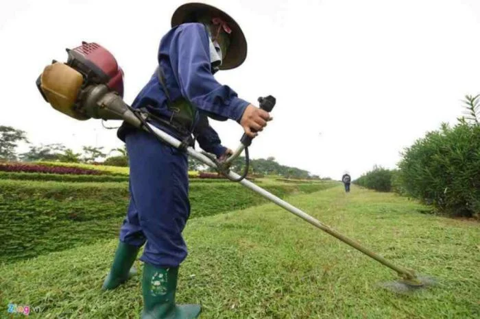 Dịch vụ chăm sóc cây cảnh Cần Thơ 15 dich-vu-cat-co-can-tho