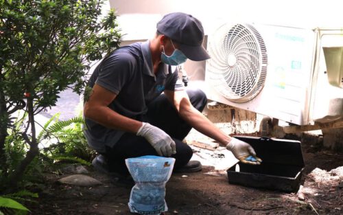 Báo giá diệt chuột tại Cần Thơ