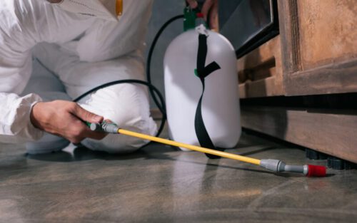 Dịch vụ diệt côn trùng chuyên nghiệp Tâm Nguyên