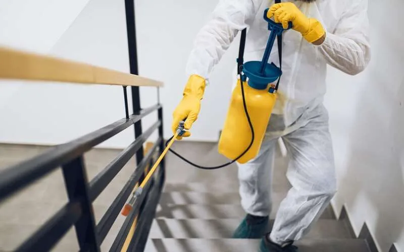 Dịch Vụ Diệt Rệp Giường Tại Cần Thơ - Giá Chỉ Từ 800K 14 Dịch vụ diệt côn trùng tại Ninh Kiều