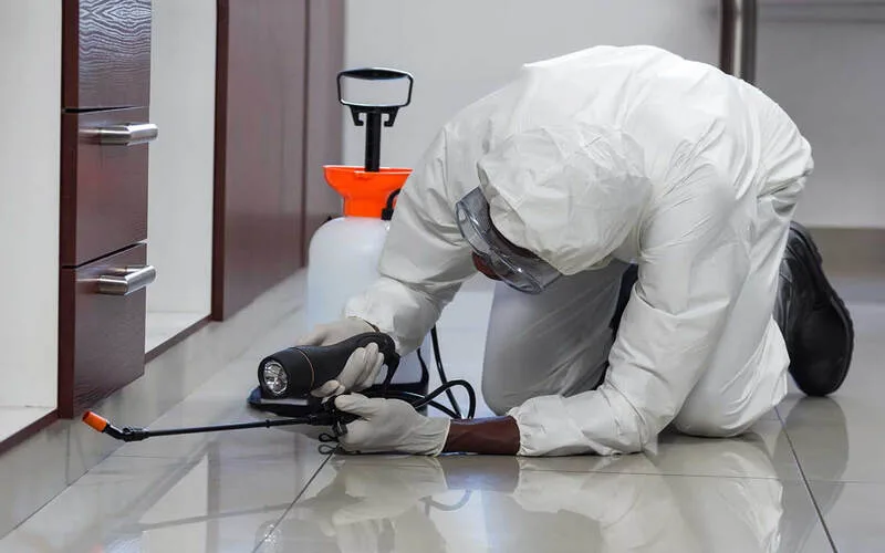 Dịch Vụ Diệt Rệp Giường Tại Cần Thơ - Giá Chỉ Từ 800K 17 Dịch vụ diệt côn trùng tại Ninh Kiều