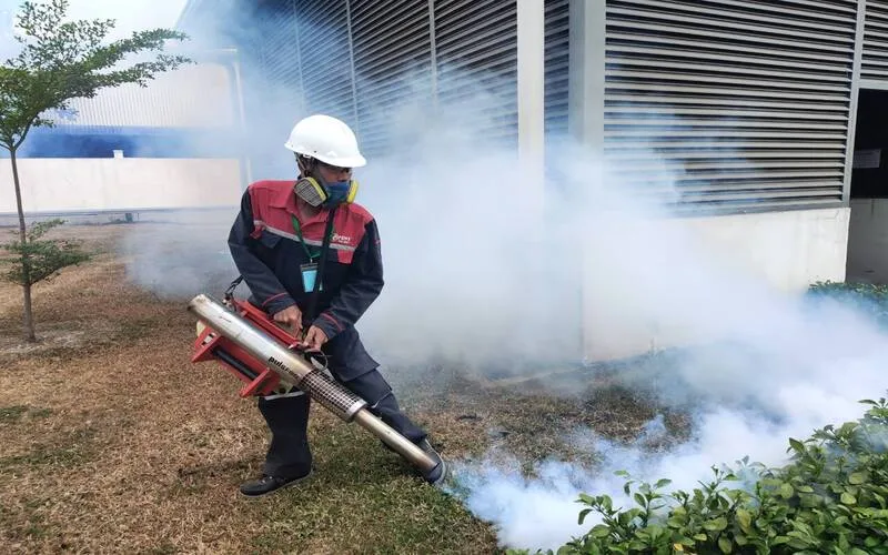 Dịch Vụ Diệt Rệp Giường Tại Cần Thơ - Giá Chỉ Từ 800K 20 Dịch vụ diệt côn trùng tại Phong Điền