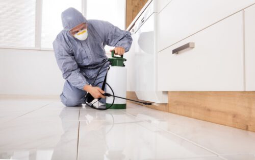 Dịch vụ diệt côn trùng tại Thới Lai