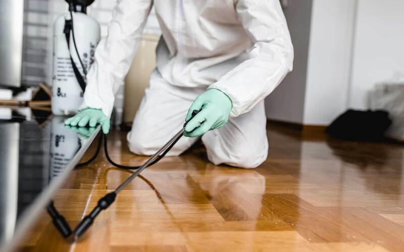Dịch Vụ Diệt Rệp Giường Tại Cần Thơ - Giá Chỉ Từ 800K 12 Dịch vụ kiểm soát côn trùng tại Cần Thơ