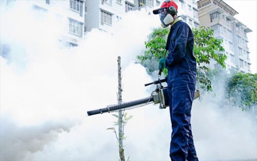 Dịch vụ kiểm soát côn trùng tại Cần Thơ